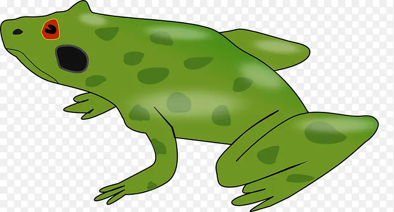 生态自然青蛙