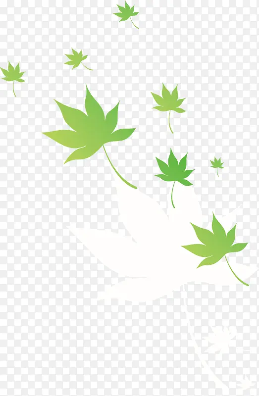 卡通绿色树叶枫叶