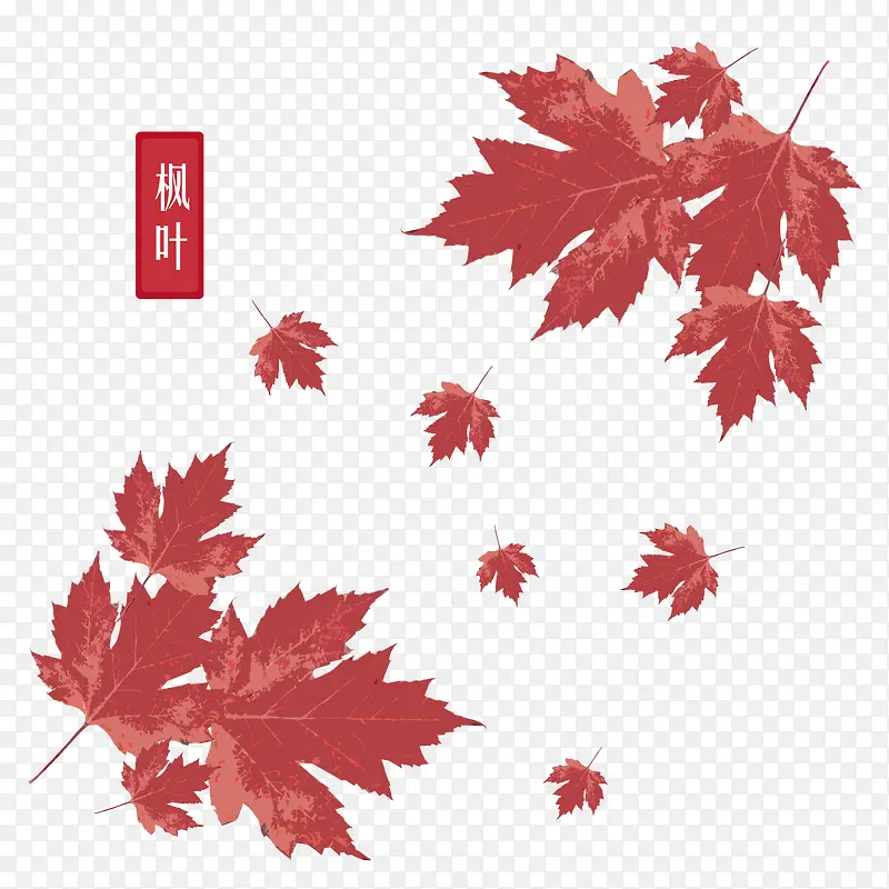 卡通枫叶矢量图下载