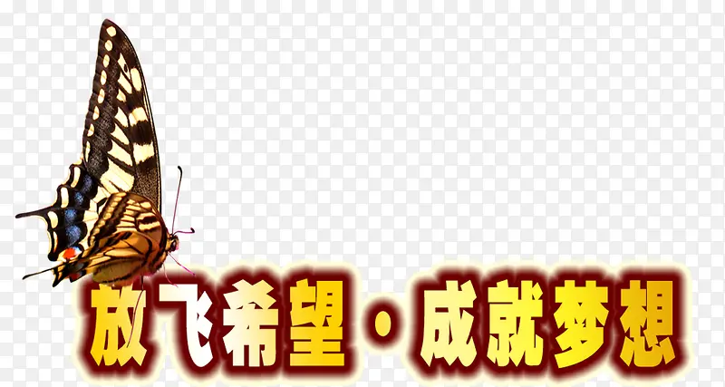 破茧成蝶的过程