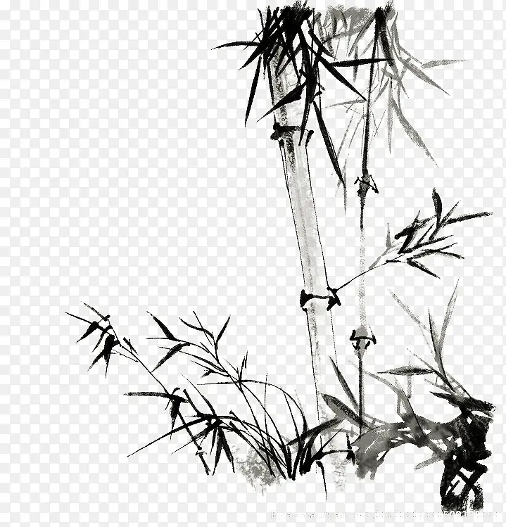 手绘竹子