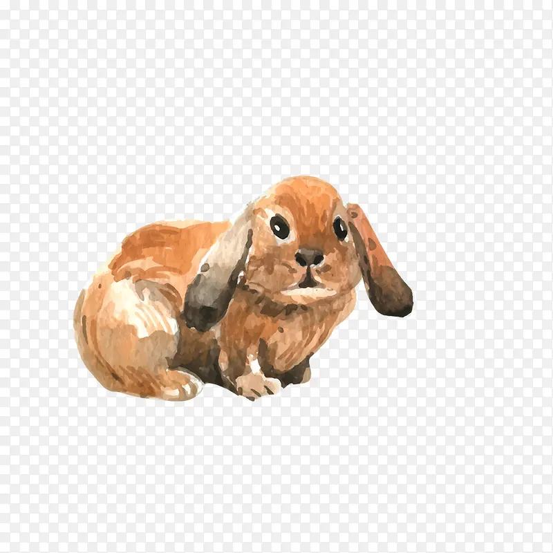 卡通可爱动物海报设计装饰兔子
