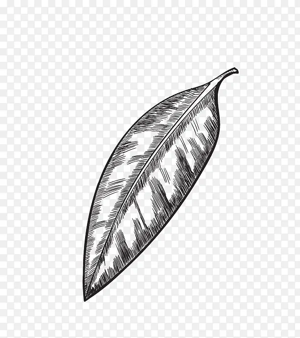 卡通绿叶装饰手绘文艺小清新