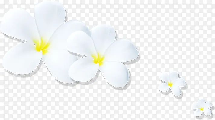 白色剪纸花朵效果设计