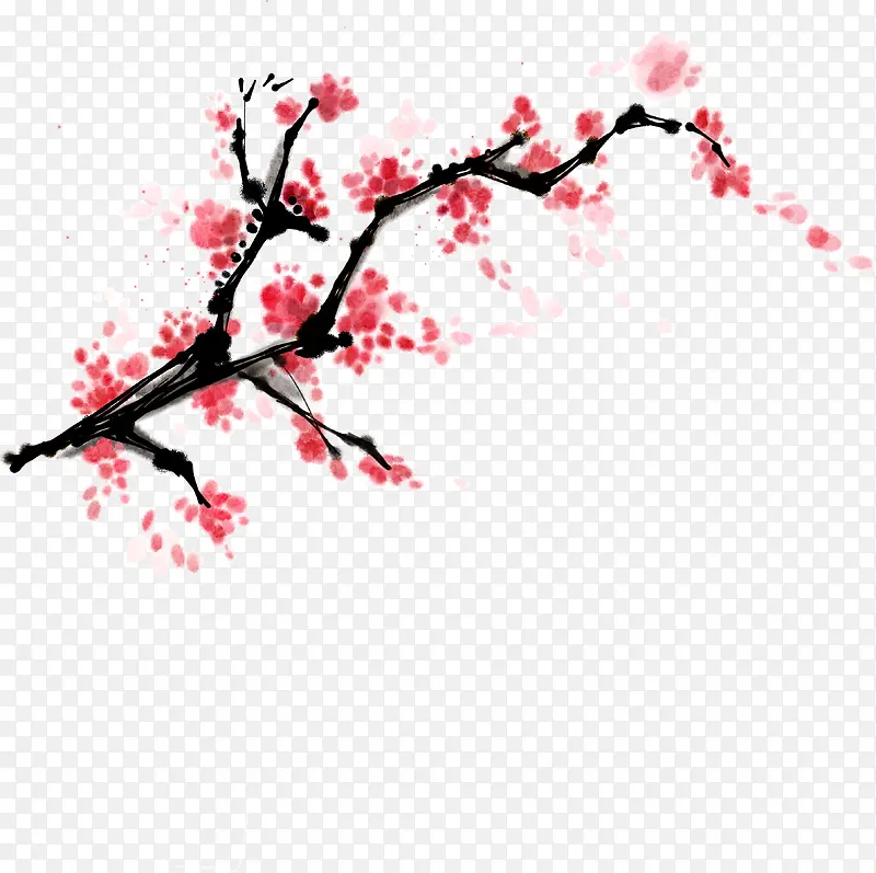 梅花PNG图片素材下载_图片编号10036883-PNG素材网