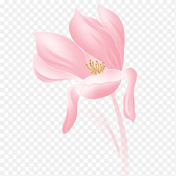 粉色榕花