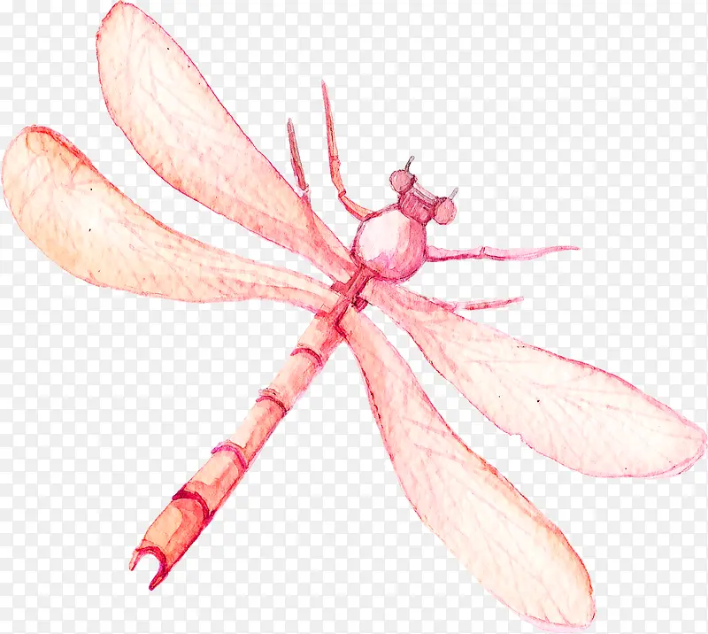 粉色手绘蜻蜓装饰