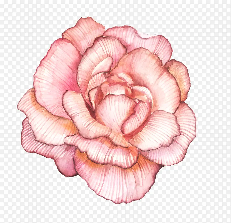 卡通手绘粉色的花朵