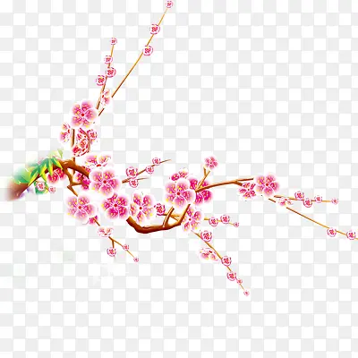 梅花