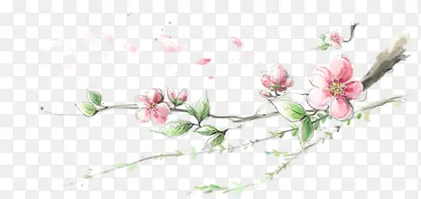 梅花盛开美景手绘