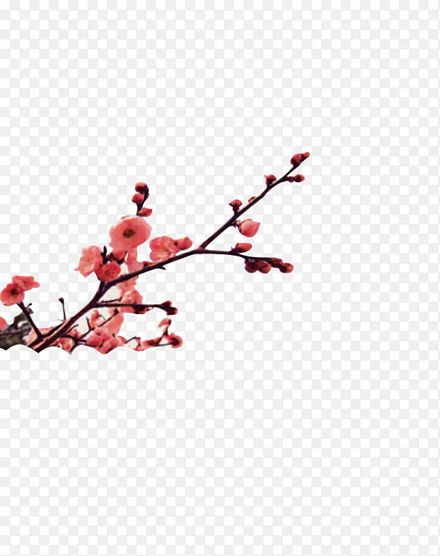 梅花PNG图片素材下载_图片编号10038240-PNG素材网