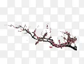 装饰图案