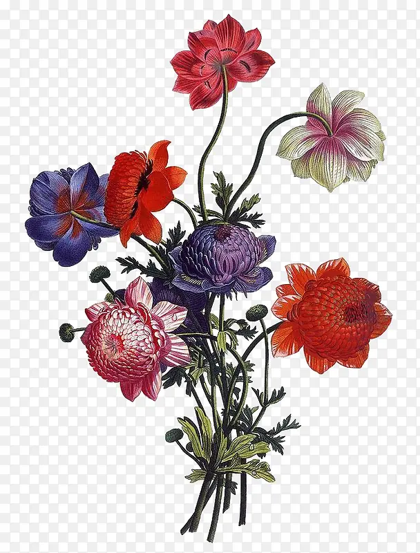花卉