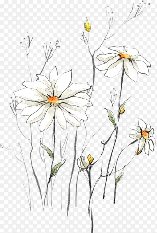彩绘白色花卉