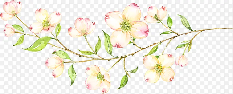 手绘清新花朵花卉装饰PNG图片素材下载_图片编号10039639-PNG素材网