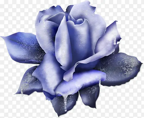手绘蓝色花