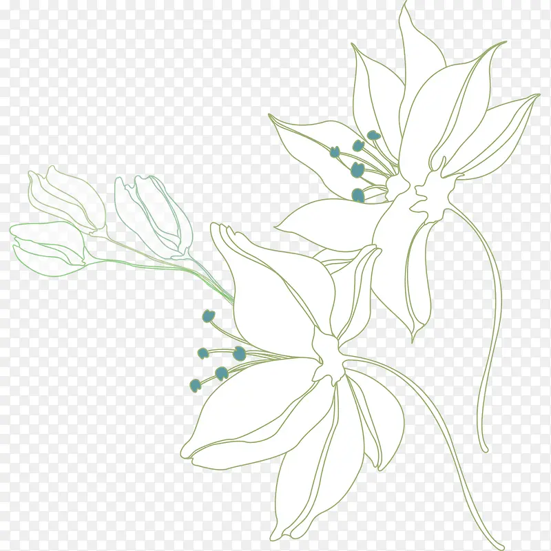 淡白花朵素材图片