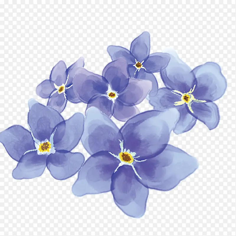紫色花朵