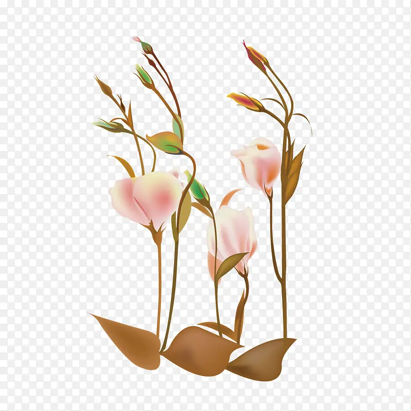 花卉PNG图片素材下载_图片编号10040520-PNG素材网