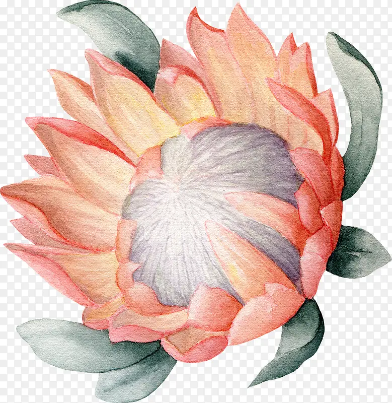 手绘红色鲜花免抠图