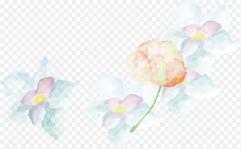 彩色透明水彩花卉