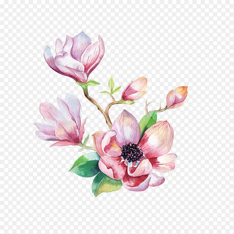 花卉
