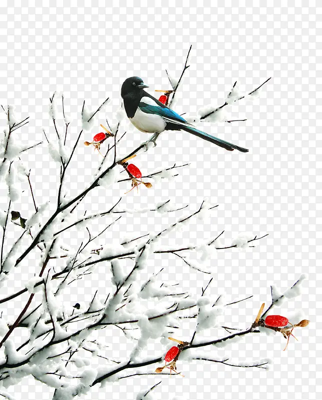 装饰花卉