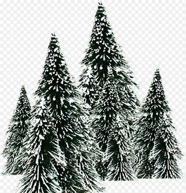 雪花飘树木冬季主图