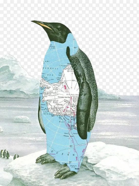 极地企鹅