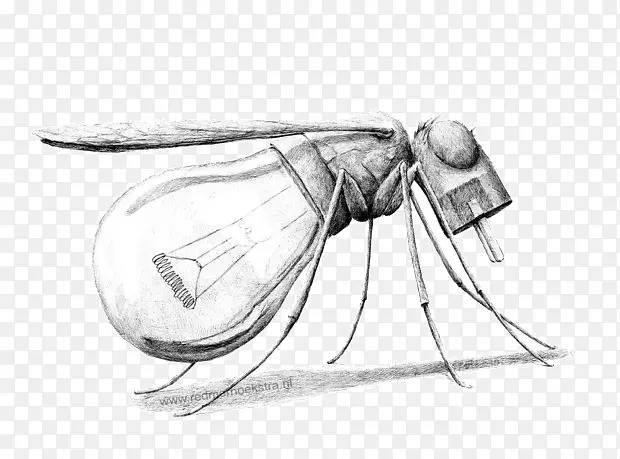 蚊子灯泡素描插画