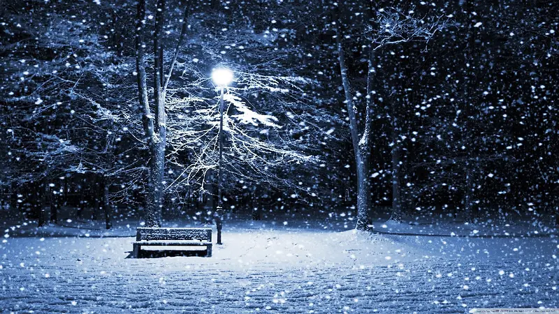 蓝色雪花树林椅子