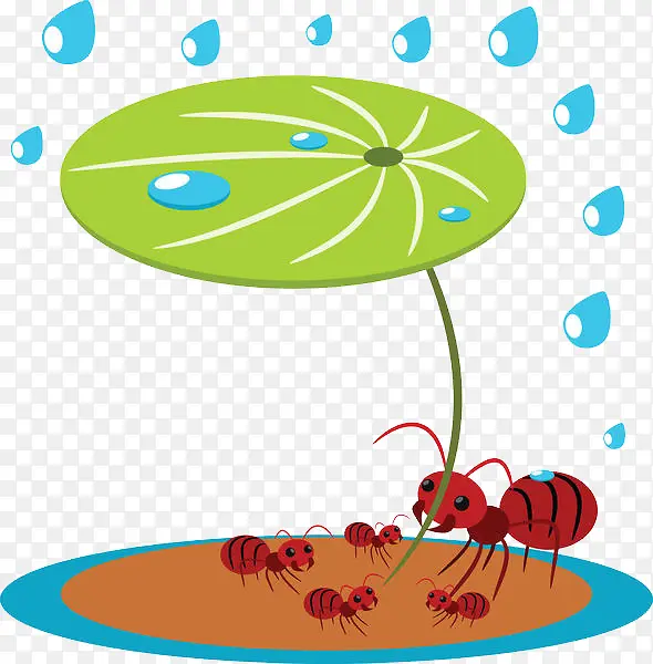 荷叶下的蚂蚁