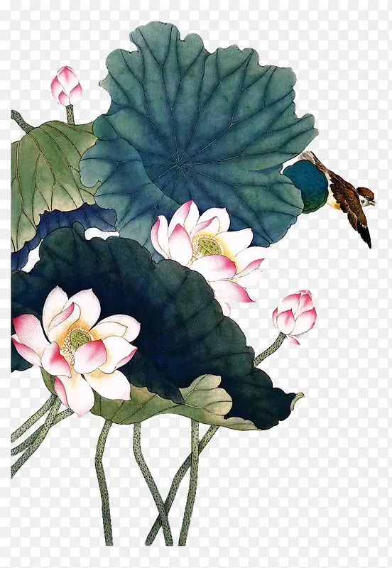 手绘中国风荷叶荷花