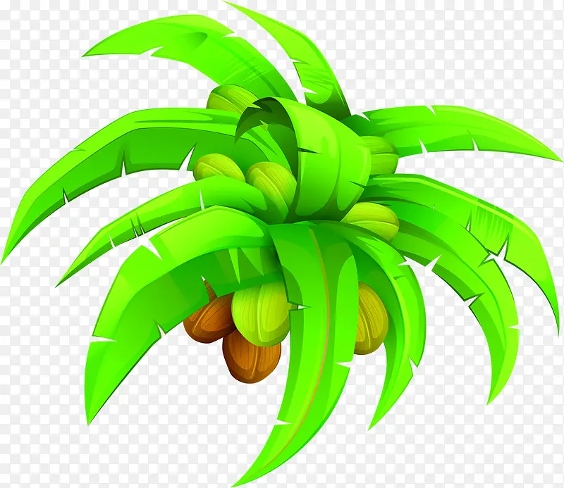 摄影绿色植物高清椰子