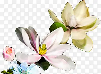 摄影手绘花朵设计效果图插画