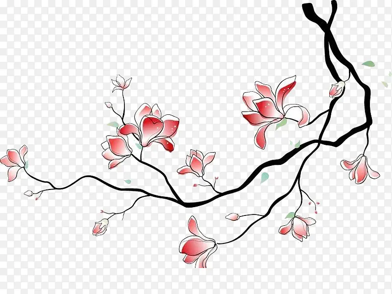 花枝PNG图片素材下载_图片编号10075945-PNG素材网