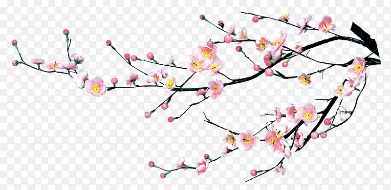 花树枝装饰图PNG图片素材下载_图片编号10076526-PNG素材网
