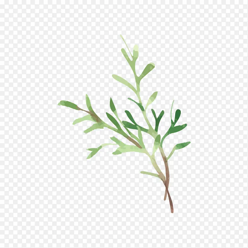手绘水彩树枝免抠素材