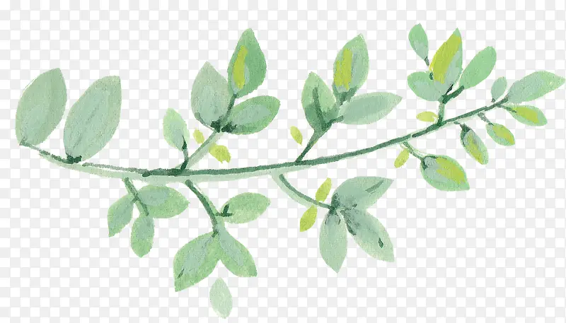 手绘树枝PNG图片素材下载_图片编号10076249-PNG素材网