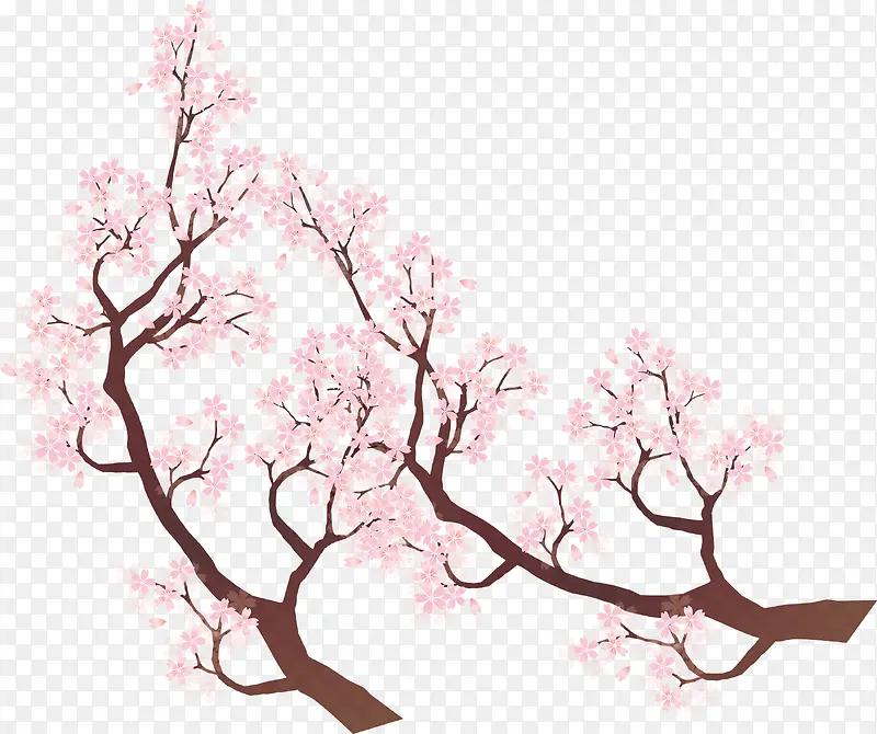 粉色的花