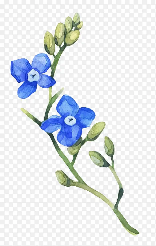 蓝色简约树枝花朵