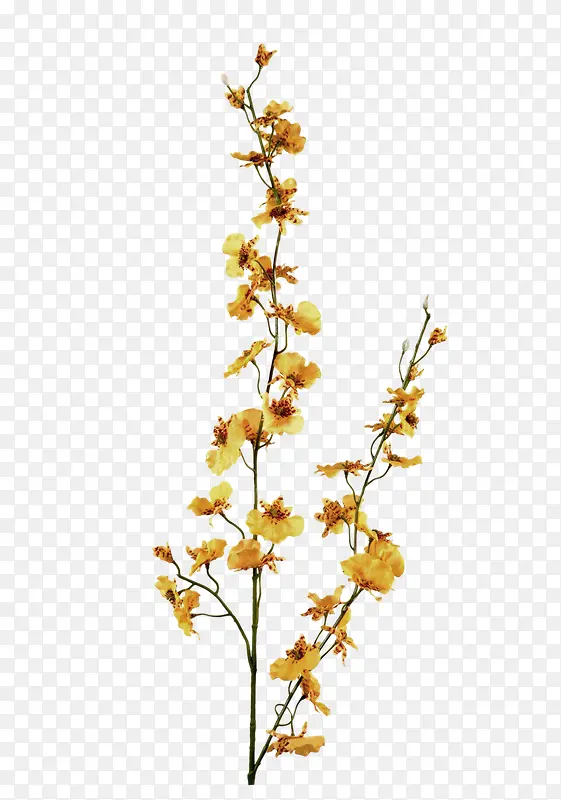 黄色树枝花朵装饰图案