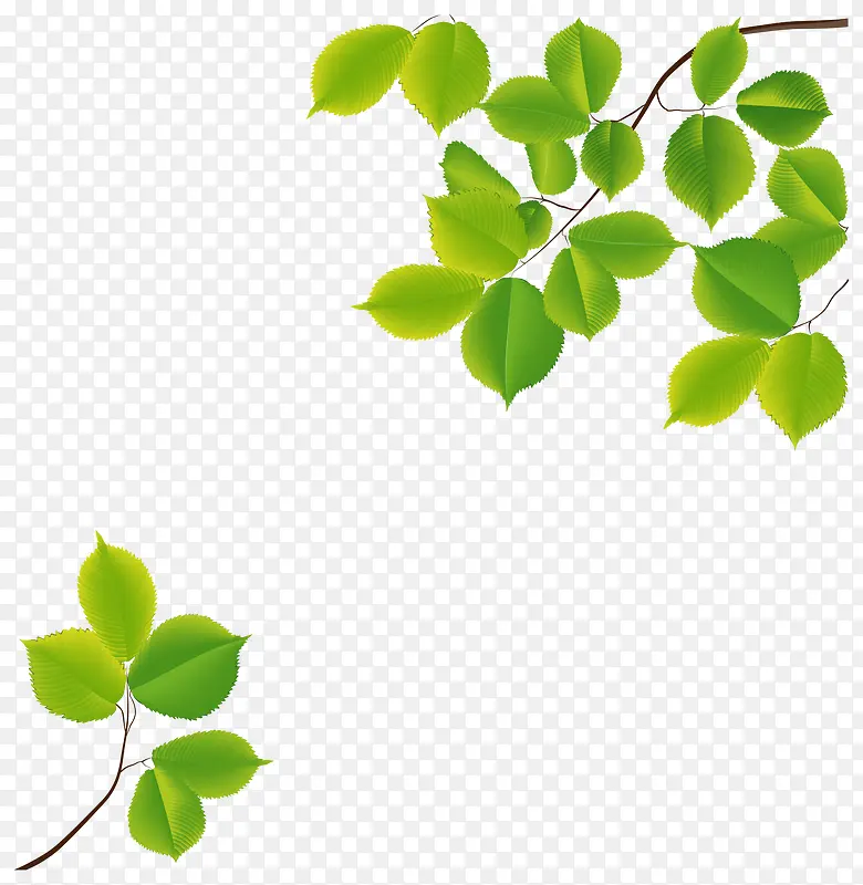 清新植物装饰矢量PNG图片素材下载_图片编号10076323-PNG素材网