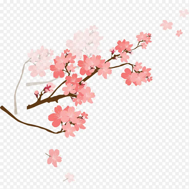 粉色樱花素材图片