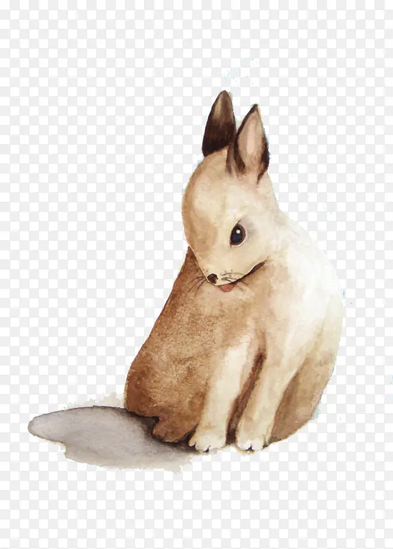 手绘兔子