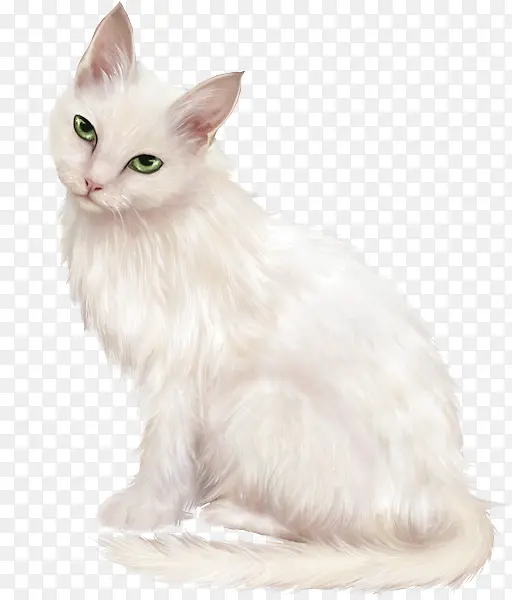 手绘白色猫咪