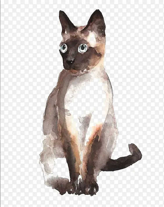 手绘水彩猫