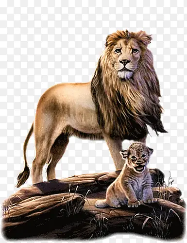 狮与虎