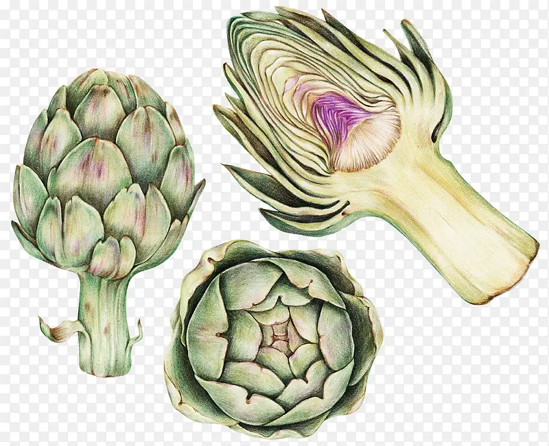 卡通手绘蔬菜装饰海报设计