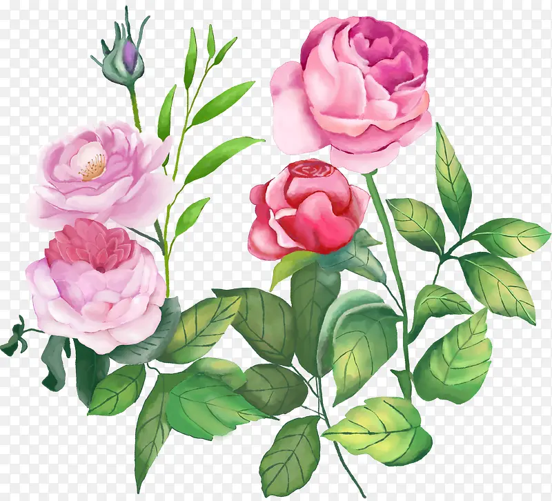 手绘装饰玫瑰花素材